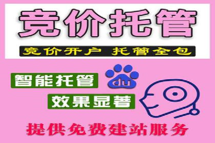 百度竞价推广托管实战：某行业巨头的成功经验